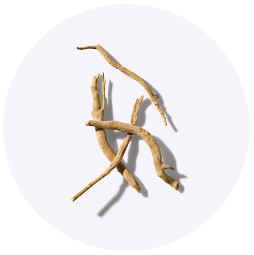 happi Kapsel Rosenwurz